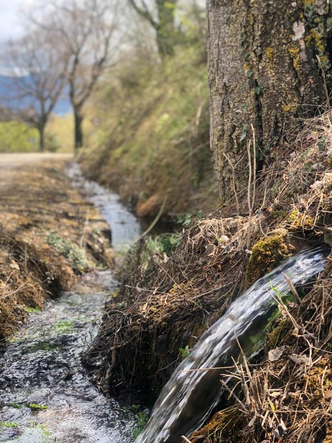 Villa Del Campo Rio Zorita Rublacedo de Abajo Zewnętrze zdjęcie