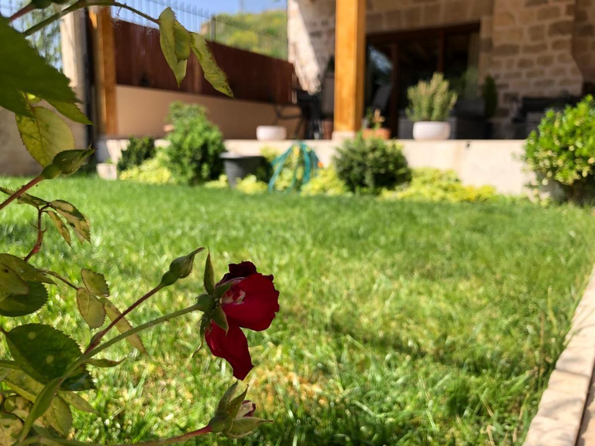 Villa Del Campo Rio Zorita Rublacedo de Abajo Zewnętrze zdjęcie